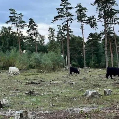 Tranquil Retreat In Hejlsminde-by Traum Ferienhaus