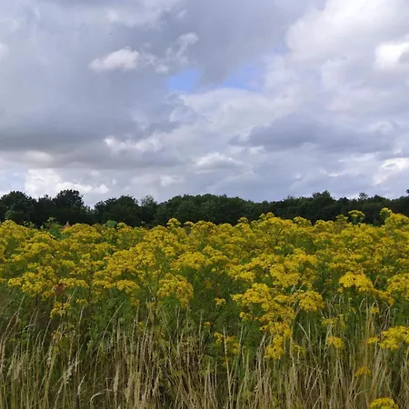 Tranquil Retreat In Hejlsminde-by Traum Hejls