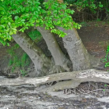 Tranquil Retreat In Hejlsminde-by Traum * Hejls