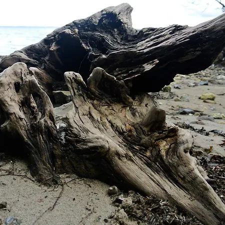 Ferienhaus Tranquil Retreat In Hejlsminde-by Traum